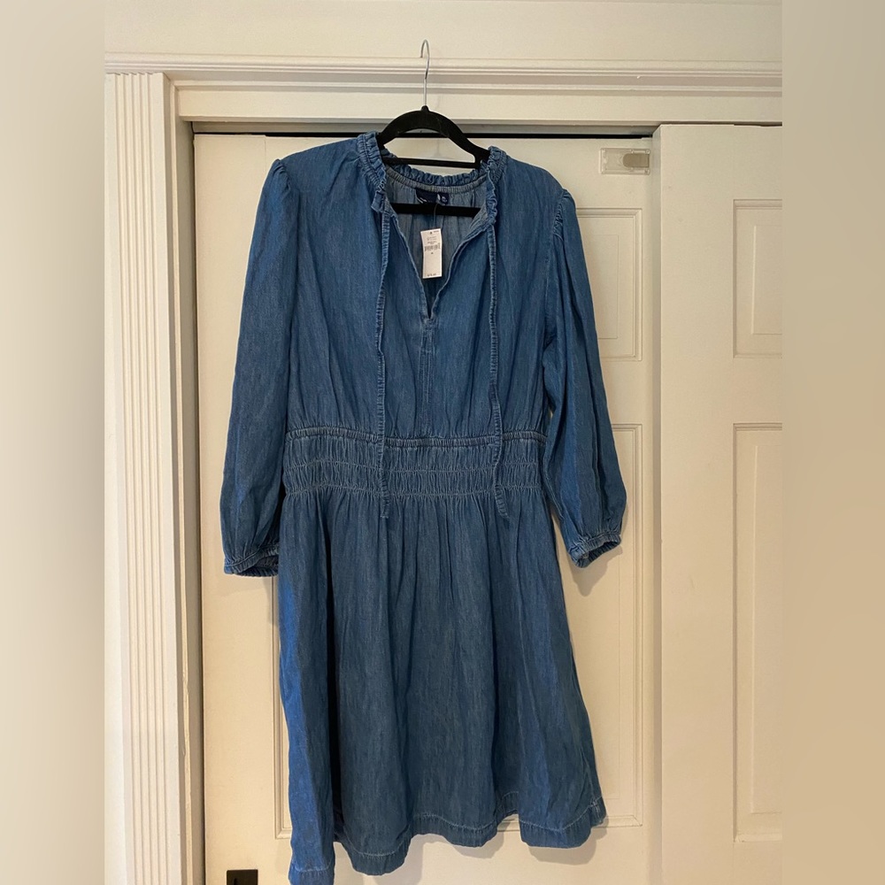 GAP Denim Dress (Size XL)